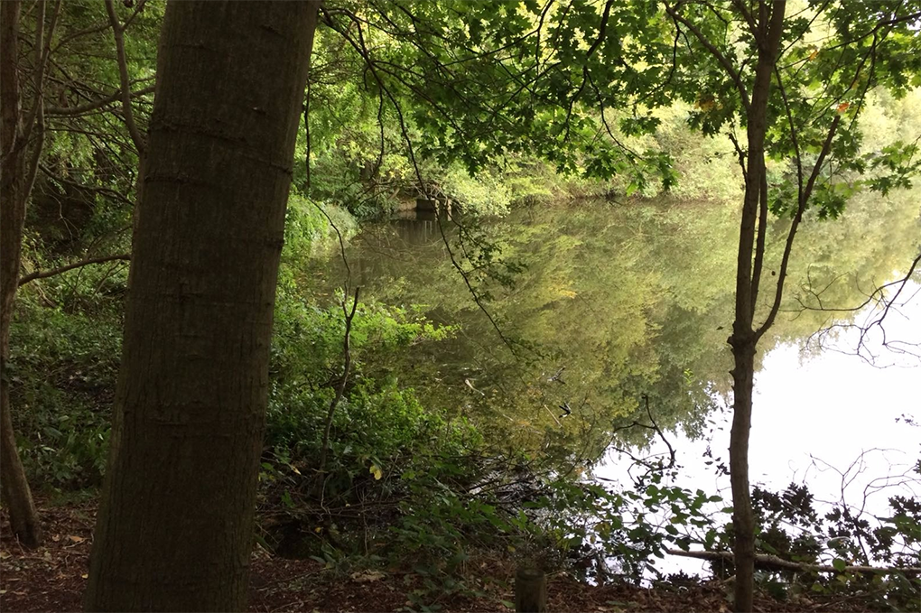  Uistapje 2017, rondleiding in de natuur en uitleg van de natuur. 